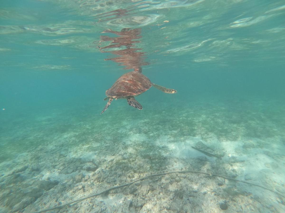 West Coast Beach House Cebu Buitenkant foto